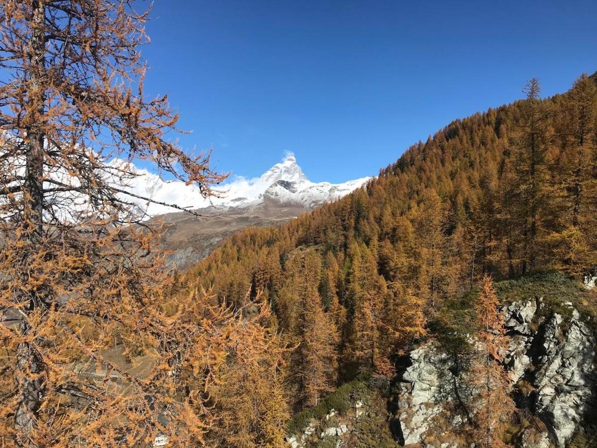 Appartamento Cervinia Fronte Funivie ブレウイル・チェルヴィナイア エクステリア 写真